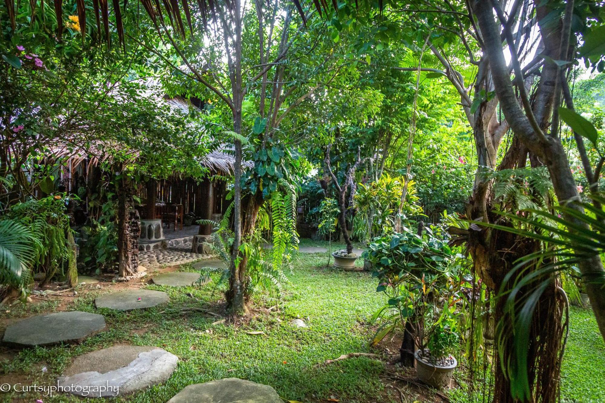 Green Travelodge Bukit Lawang Kültér fotó